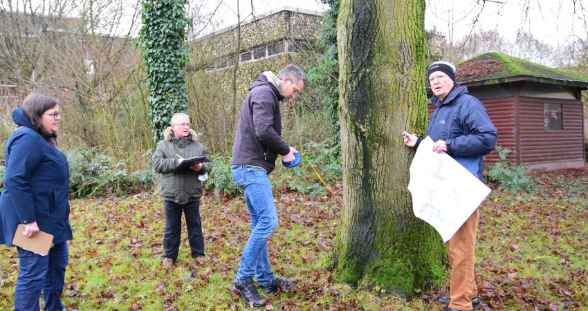 Laer:innen messen den Stammumfang eines Baums.